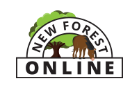 Website Design & Hosting Lymington | New Forest Online Ltd