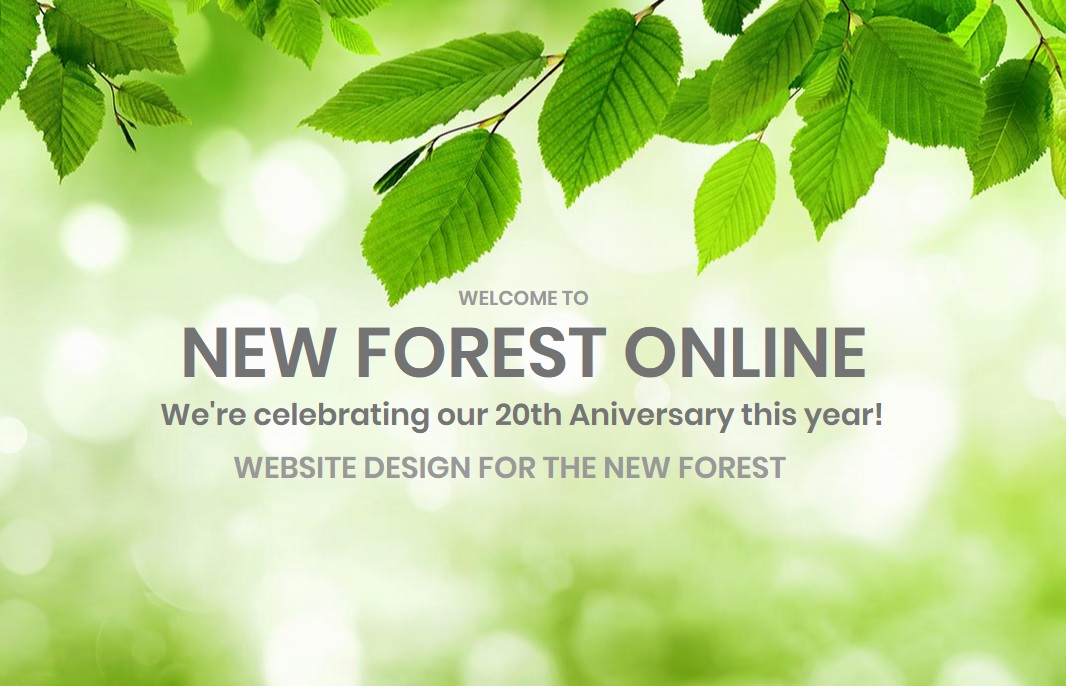 new forest online 20 years