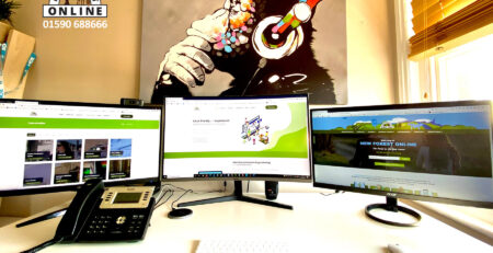 New forest Online website design